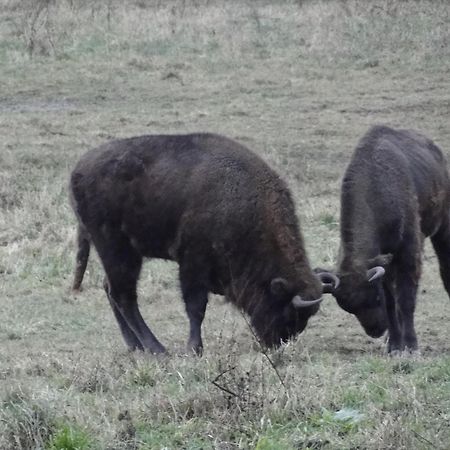 Agroturystyka Zywe Крукланки Екстериор снимка