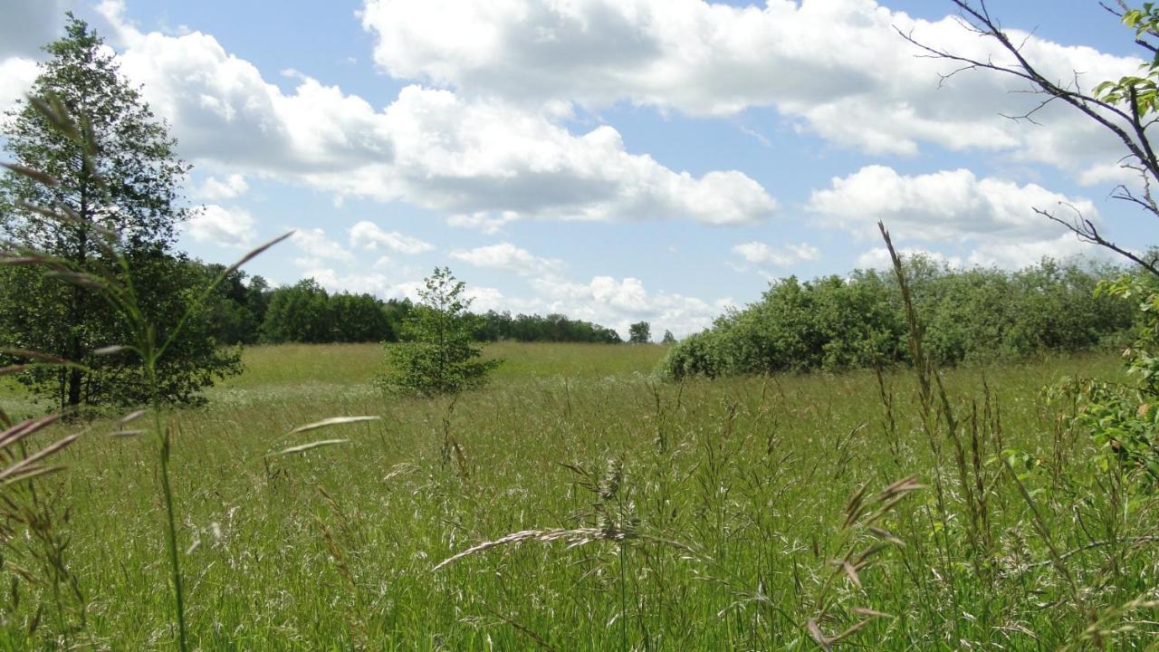 Agroturystyka Zywe Крукланки Екстериор снимка