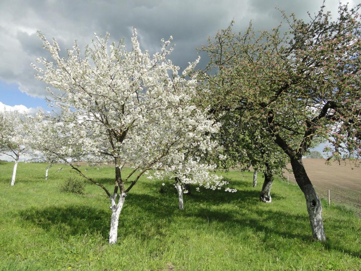 Agroturystyka Zywe Крукланки Екстериор снимка