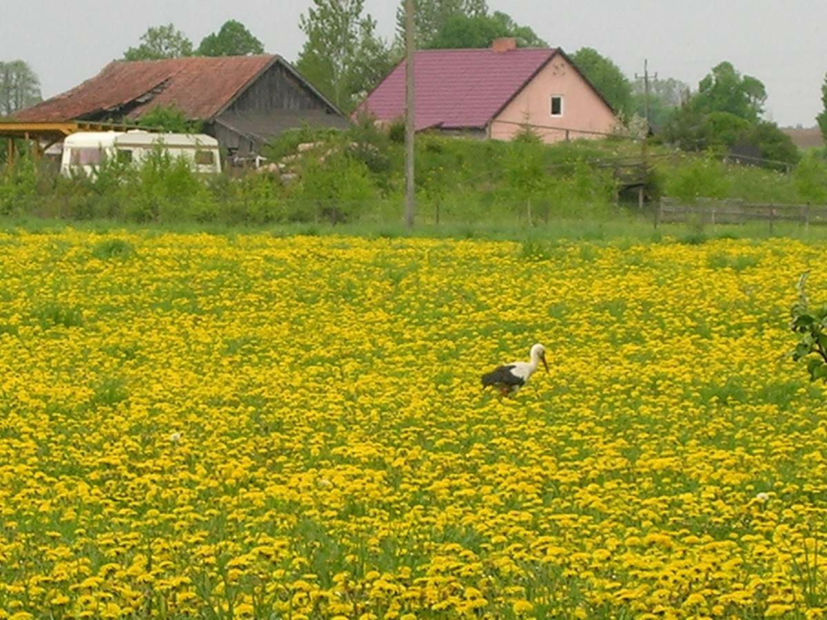 Agroturystyka Zywe Крукланки Екстериор снимка